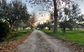 Casale Re Di Coppe